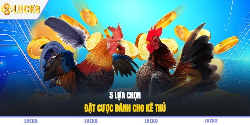 5 lựa chọn đặt cược dành cho kê thủ