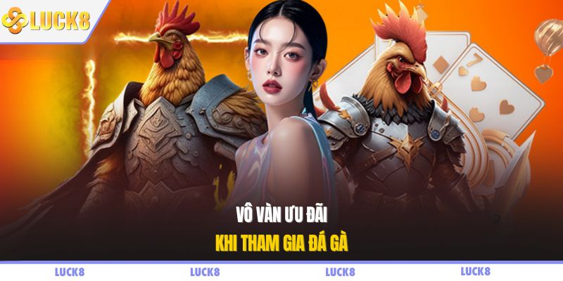 Vô vàn ưu đãi khi tham gia đá gà